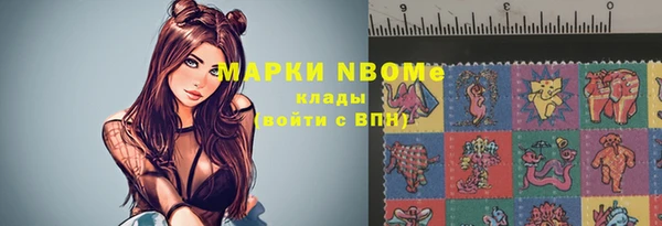 ПСИЛОЦИБИНОВЫЕ ГРИБЫ Верея